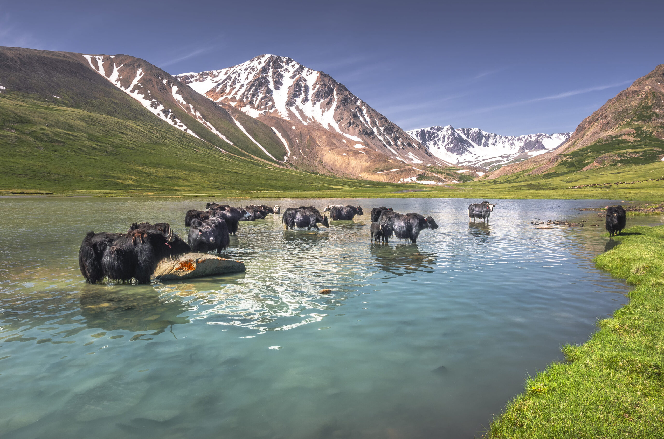 Protecting Mongolia’s rolling grasslands and herding traditions